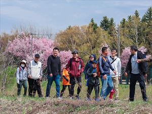 桜ウオーキングの様子