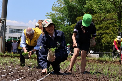 田植えの様子5
