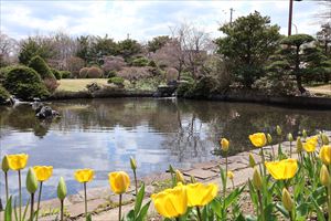 平岡樹芸センター4