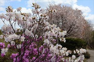 平岡樹芸センター2