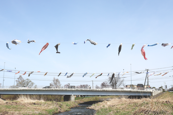 こいのぼりが掲揚されたあしりべつ川