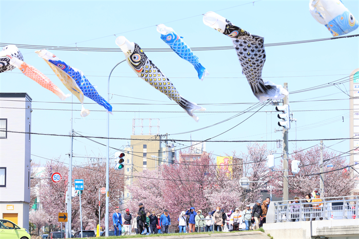 1桜ウォーキング2026