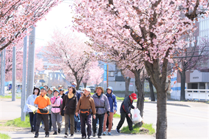 5桜ウォーキング2026