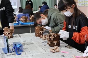 おしごとごっこフェス11