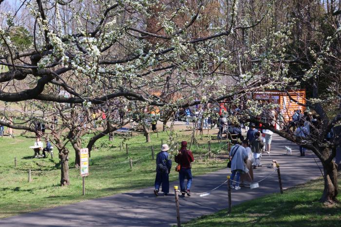 平岡公園