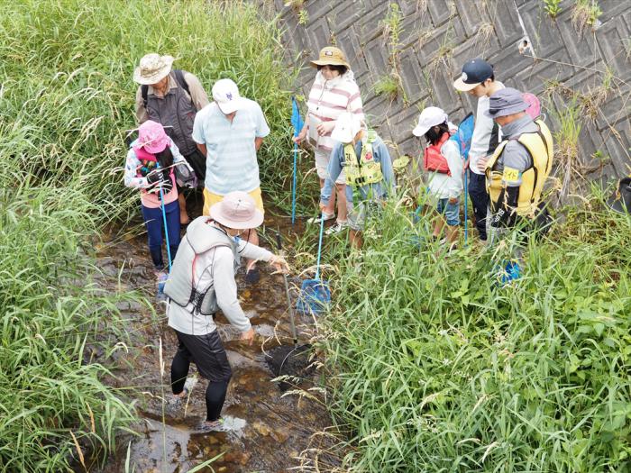 川の中で生き物探し