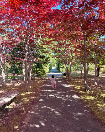 平岡樹芸センター