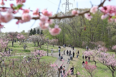 平岡公園の様子