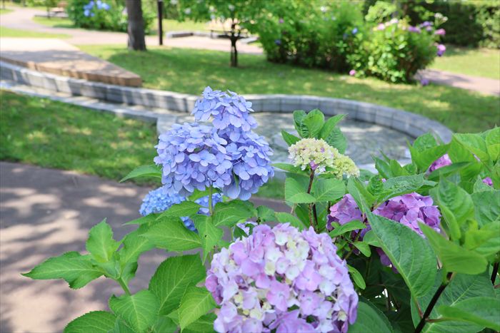 真栄夏通り公園