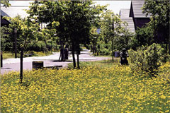 第5回札幌市都市景観賞受賞「四季の街」にある「真栄春通り公園」