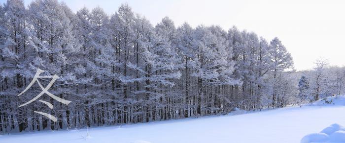 きよたの冬