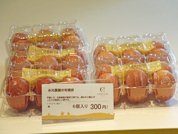 コッコテラス