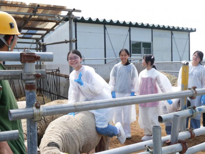 石狩ひつじ牧場
