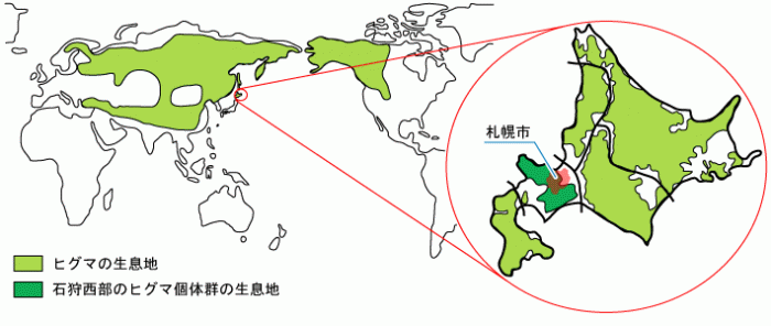 世界と日本のヒグマの分布 世界と日本のヒグマの分布