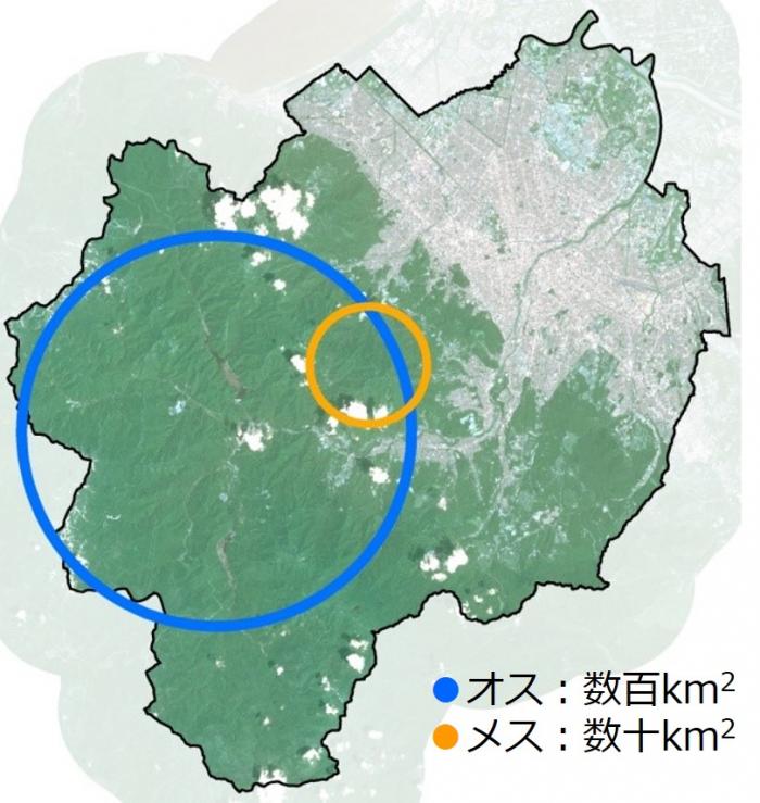 行動範囲の図