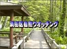 清田区自然ウォッチング