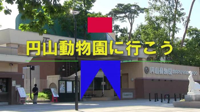 円山動物園に行こう