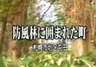防風林に囲まれた町
