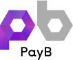 PayBロゴ（電算）