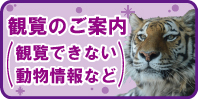 観覧についてのご案内（観覧できない動物など）