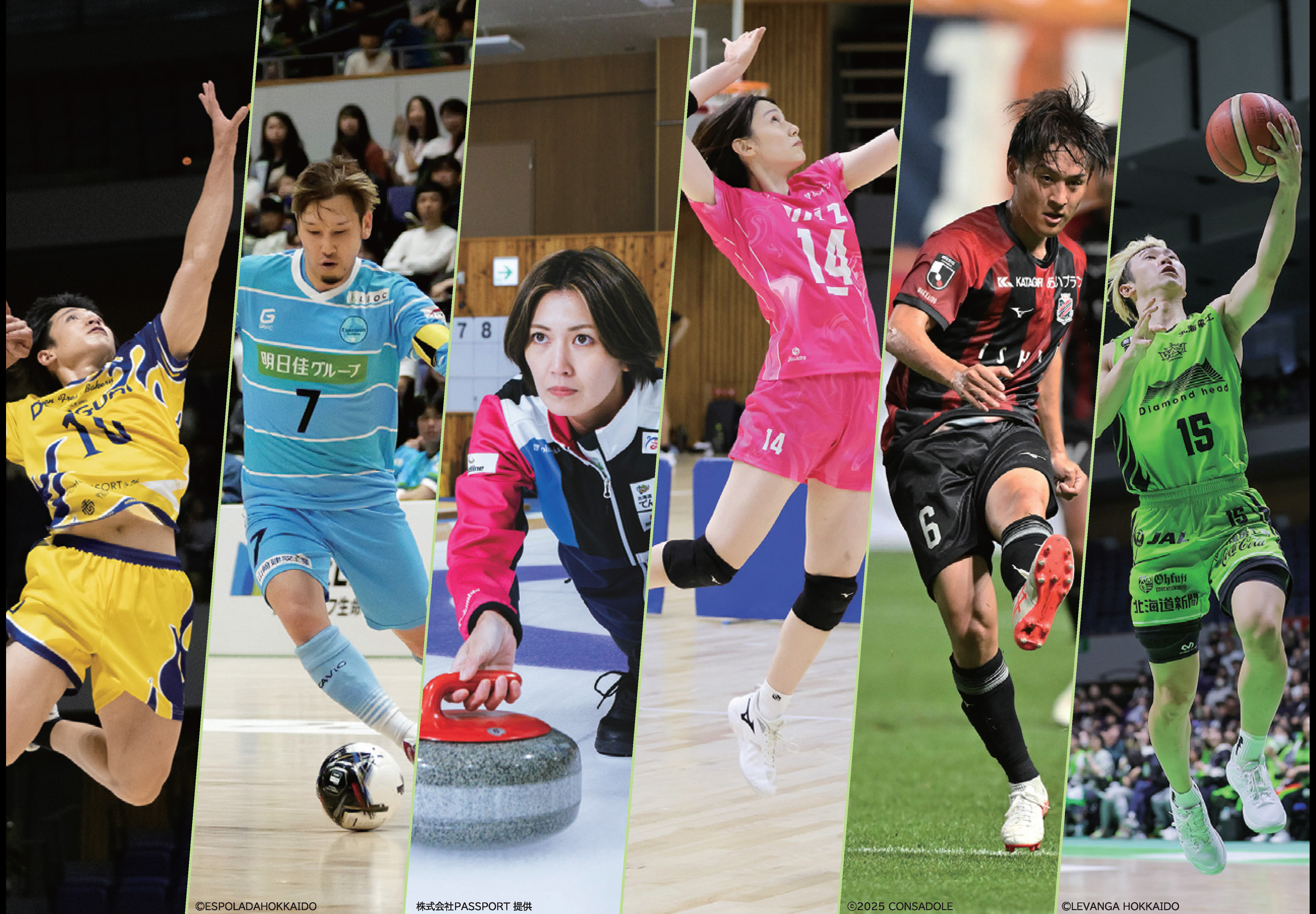 広報さっぽろ11月号表紙