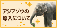 アジア象の導入について