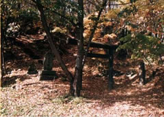 馬霊奇神社碑の写真