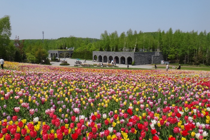 すずらん 公園 滝野 丘陵