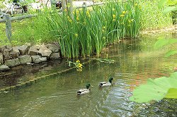 エドウィン・ダン記念公園