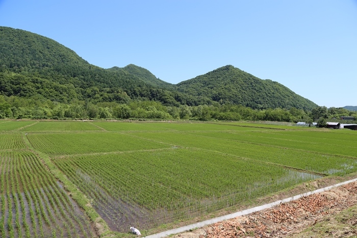 田園風景