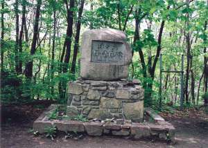緑ケ丘保健林碑の写真