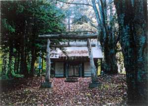 藤の沢神社