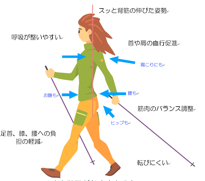 呼吸が整いやすい。スッと背筋の伸びた姿勢。首や肩の血行促進。筋肉のバランス調整。転びにくい。足首、膝、腰への負担の軽減