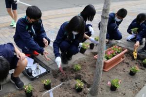 花壇に花を植える様子2