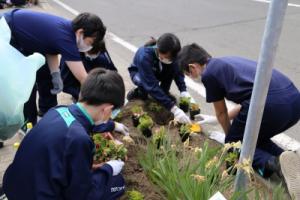 花壇に花を植える様子3