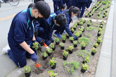 花壇に花を植える様子1