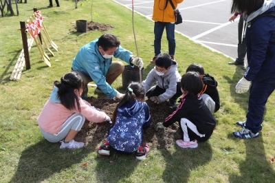 植樹の様子