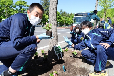 花植えの様子3