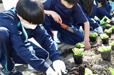 花植えの様子1