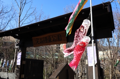 鯉のぼり3