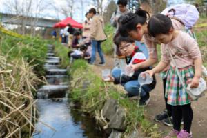 サケの稚魚を放流する様子2