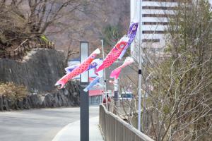 定山渓温泉「湯けむり坂」の鯉のぼり