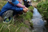 さけ稚魚体験放流