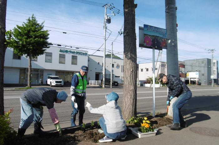 230号線の花植えを行っています