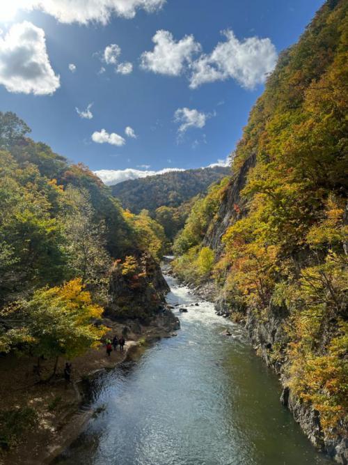 二見吊橋から