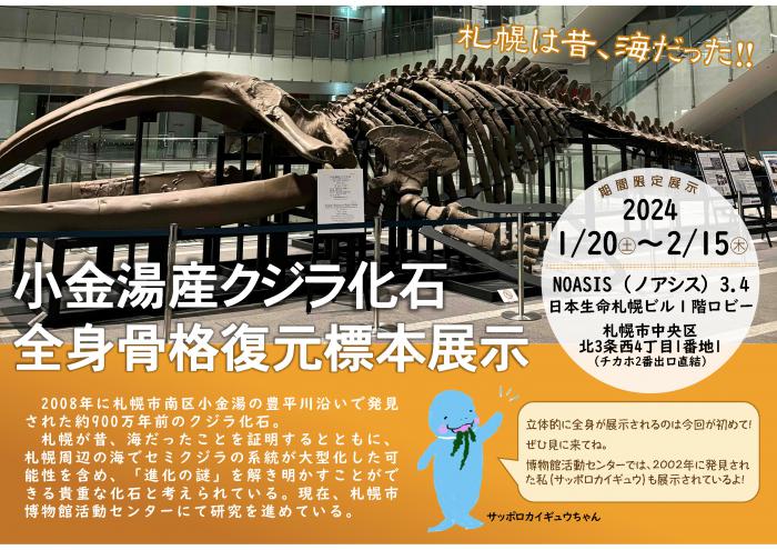 クジラ展示パネル