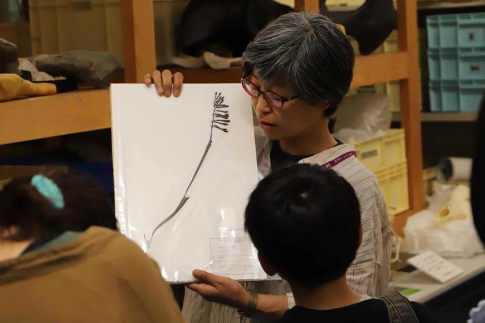 バックヤードツアーで植物の解説をする山崎学芸員