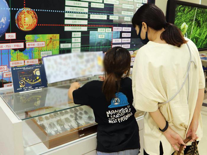 標本と絵本の展示