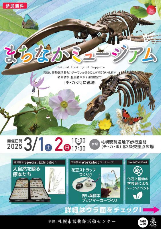 まちなかミュージアムチラシ表
