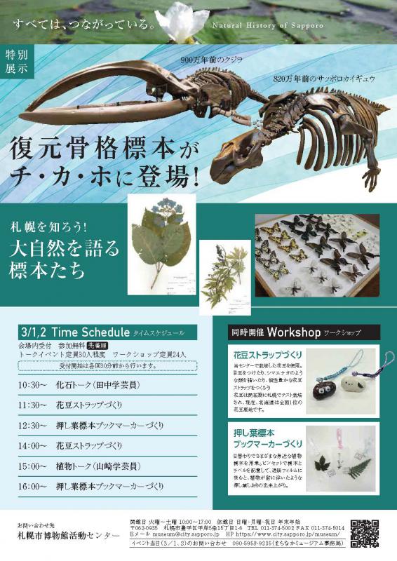 まちなかミュージアムチラシ裏